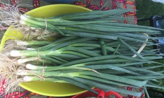 bundles of green onions from D-Town Farm.