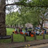 Care Commons group meets in a park.