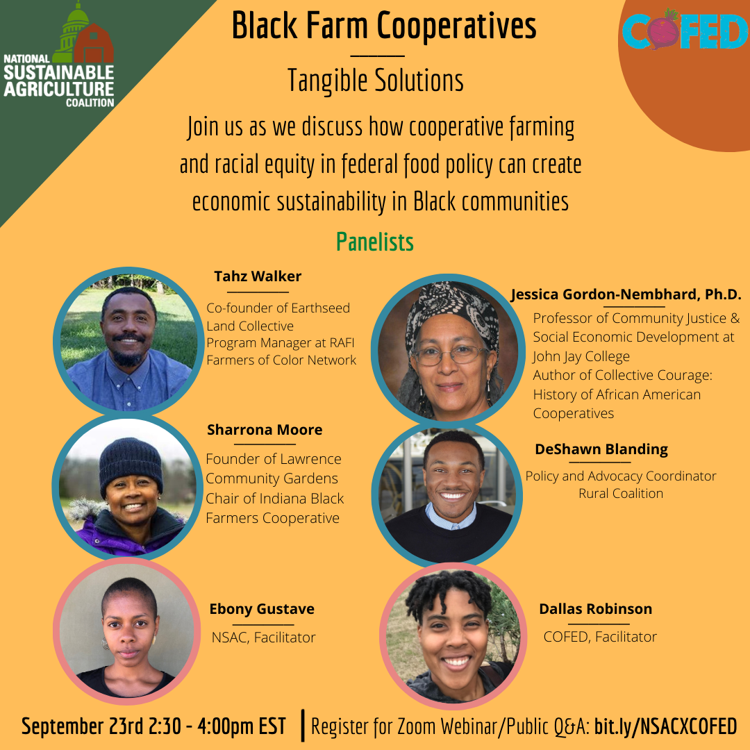 Flyer for Black cooperative land ownership webinar