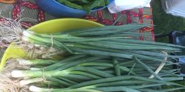 bundles of green onions from D-Town Farm.