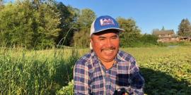 Worker-owner of Cooperativa Tierra Y Libertad standing in a stawberry field, holding a box of strawberries.