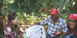 Julia Baumgartner of Equal Exchange with Fabio Rodriguez and Ana Alvarez of Conacado during a productivity workshop in the Dominican Republic.