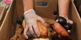 A Food for Life volunteer sorts a produce box. Photo by Luna for Toward Freedom.