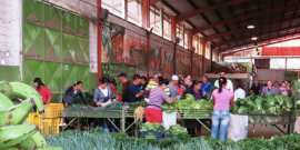A Cecosesola food market.