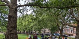 Care Commons group meets in a park.