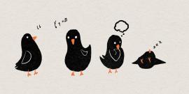 four cartoon black birds.