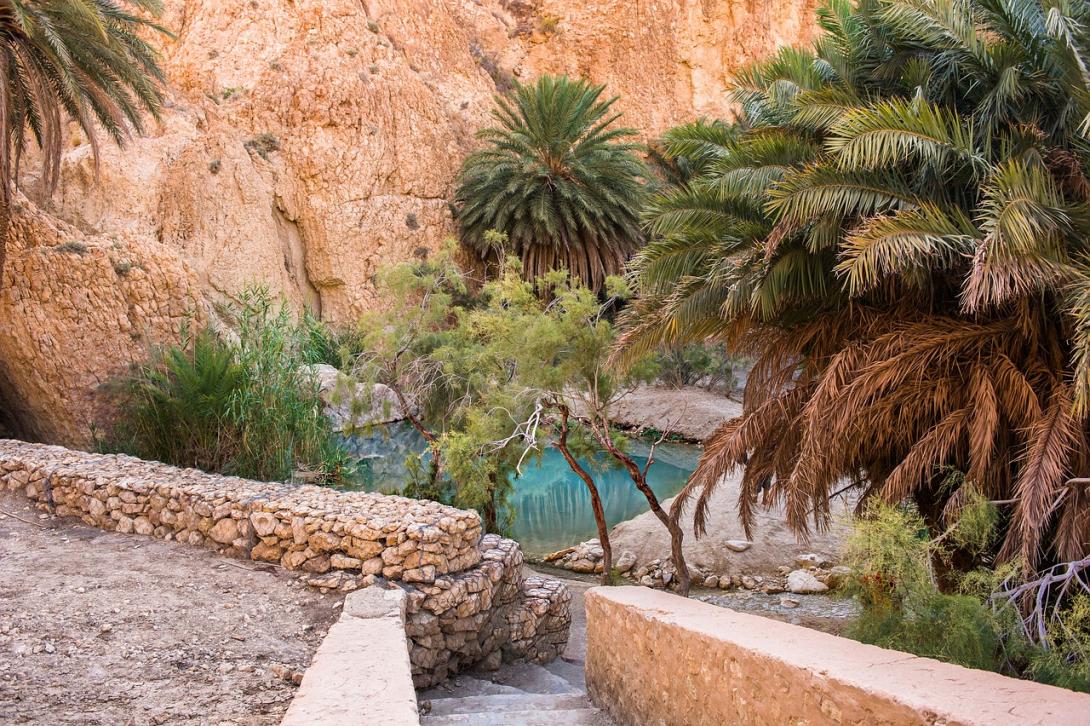 Tunisian oasis. Image via Pixabay.