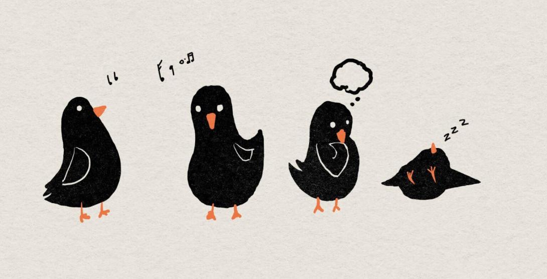 four cartoon black birds.