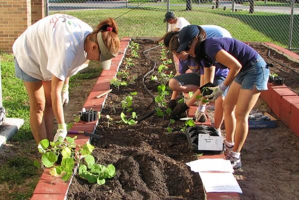 Volunteers construct an urban garden in Ft. Myers, Florida. Photo by Gabriel Kamener, CC BY 2.0