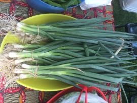 bundles of green onions from D-Town Farm.