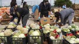 Volunteers with the Harvest Project Food Rescue help prepare food to be distributed at Jaycee Zaragoza Park in Dallas, TX.