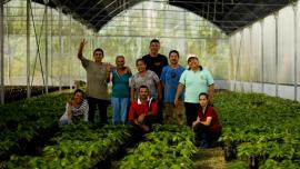 Workers of the Social Production Company Che Guevara 2021 of the Che Guevara Commune, in the Mérida state.