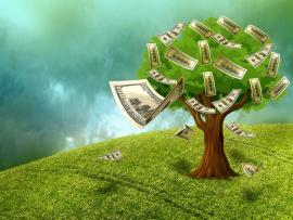 Money coming off a tree