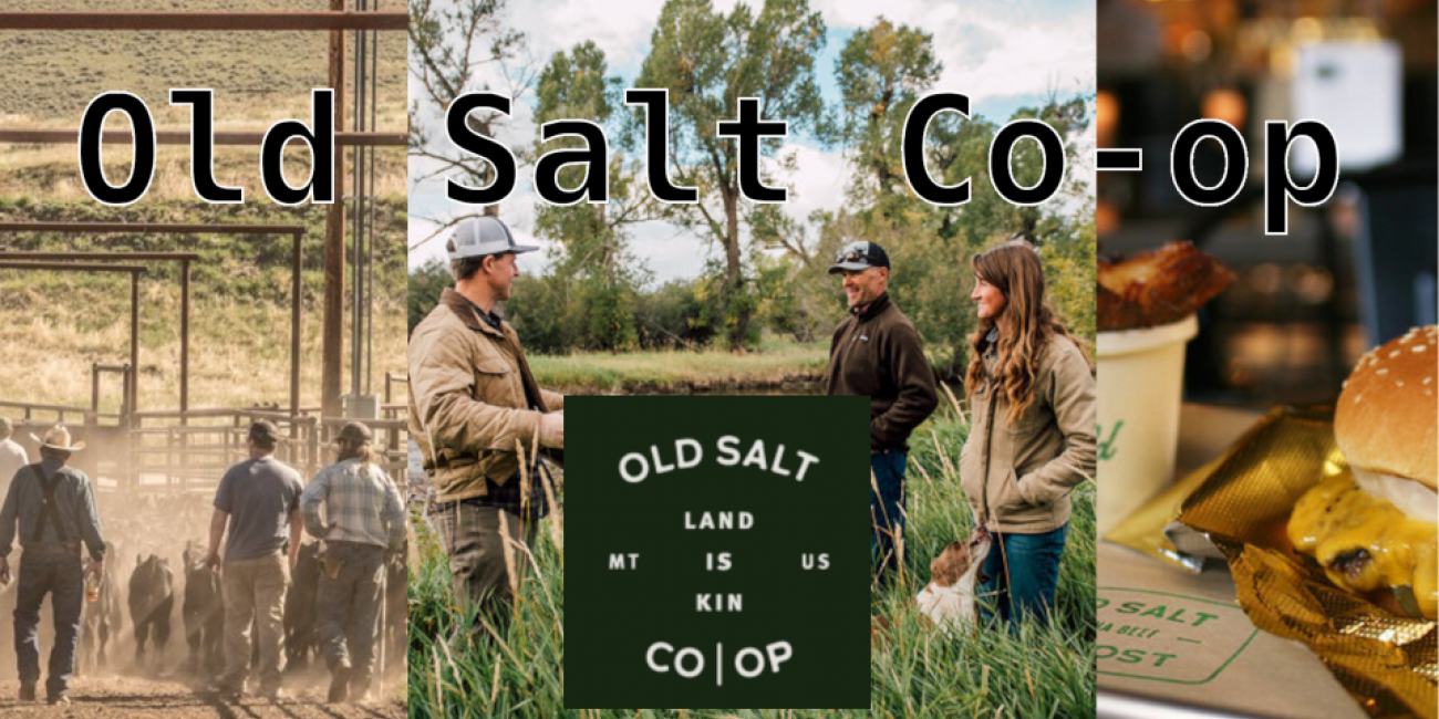 The Old Salt Co-op | Grassroots Economic Organizing