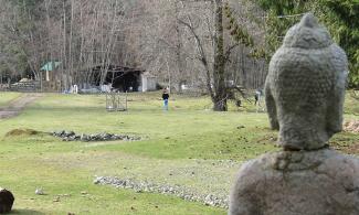 Buddha statue with a woman and some buildings in the background.