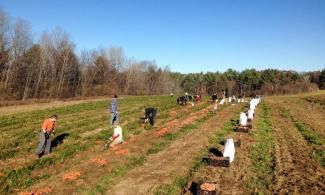 Salvation Farms gleaners.