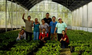 Workers of the Social Production Company Che Guevara 2021 of the Che Guevara Commune, in the Mérida state.