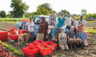 Digger's Mirth cooperative farm