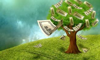 Money coming off a tree