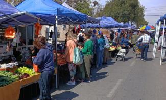 A fair in Maipú, Santiago, Chile. Photo credit: Jorgebarrios via Wikimedia Commons.