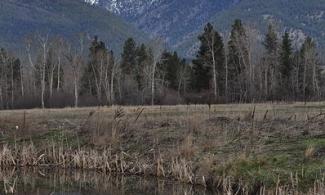 Bitterroot Mountains as seen from the Lee Metcalf Wildlife Preserve, 2011. Photo by Roger M. Peterson for USFS Northern Region