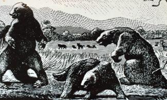 Brooks's Mythical Beasts