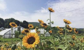 The Indian Line Farm. Photo courtesy of Amelia Holmes/Schumacher Center for New Economics