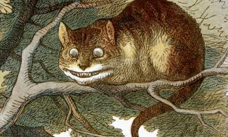 Cheshire Cat Looks Somehow Familiar