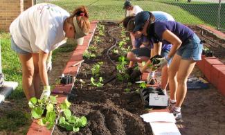Volunteers construct an urban garden in Ft. Myers, Florida. Photo by Gabriel Kamener, CC BY 2.0